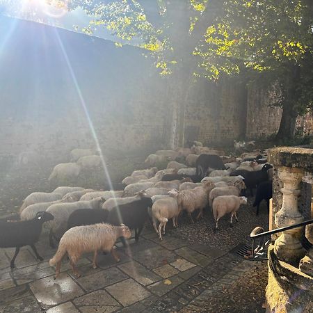 Hotellerie De L'Abbaye Saint Amand Esterno foto