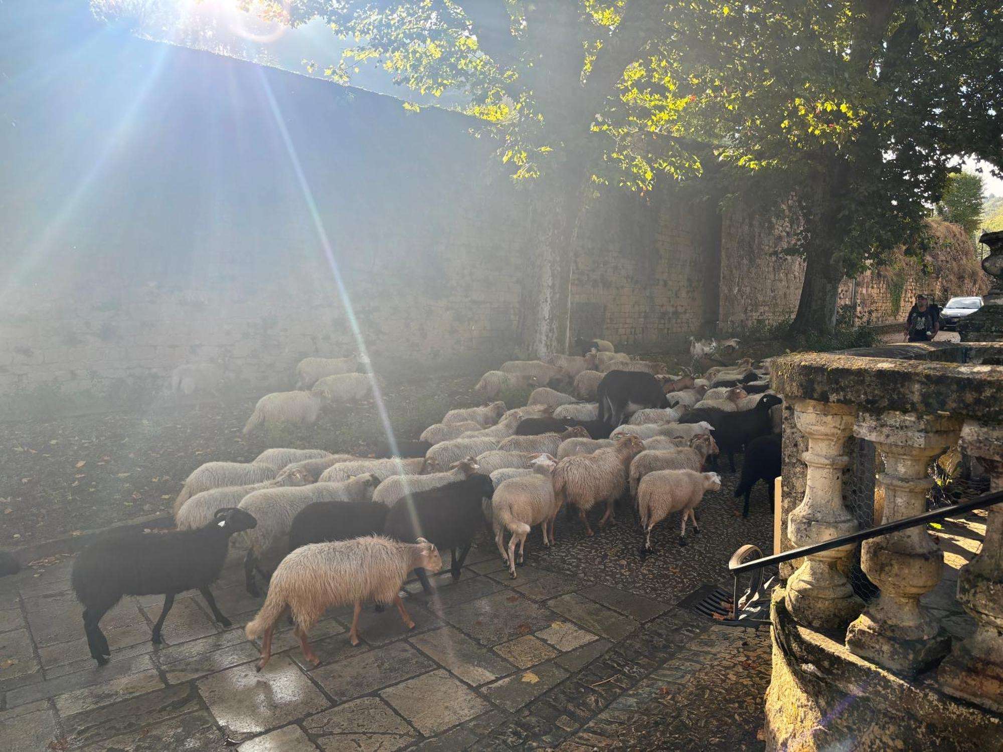 Hotellerie De L'Abbaye Saint Amand Esterno foto